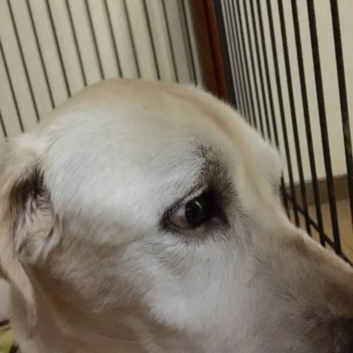 F6a63bdc a57e 485a 85c8 77def603aa4e