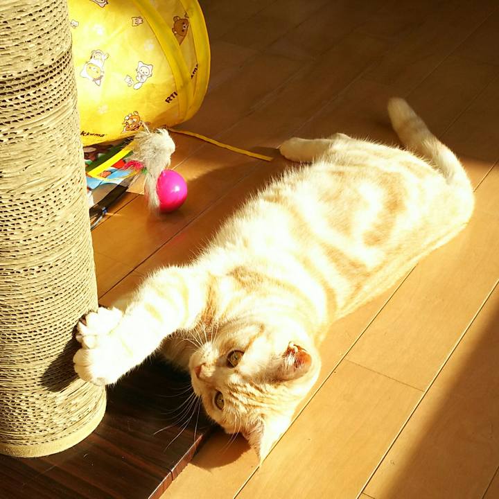 F6a68264 812c 4a7d b7aa cc5e604be4b7