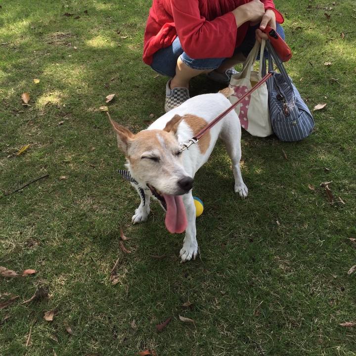 F6a68db7 993f 42f4 acf0 c51b2a26af10