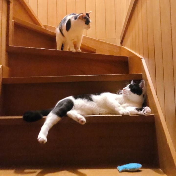 F6a69dad fe6a 4a45 80f8 076d96d50028