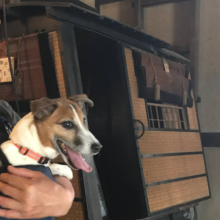 F6a710fb e736 43b1 b120 1697479f9e5e