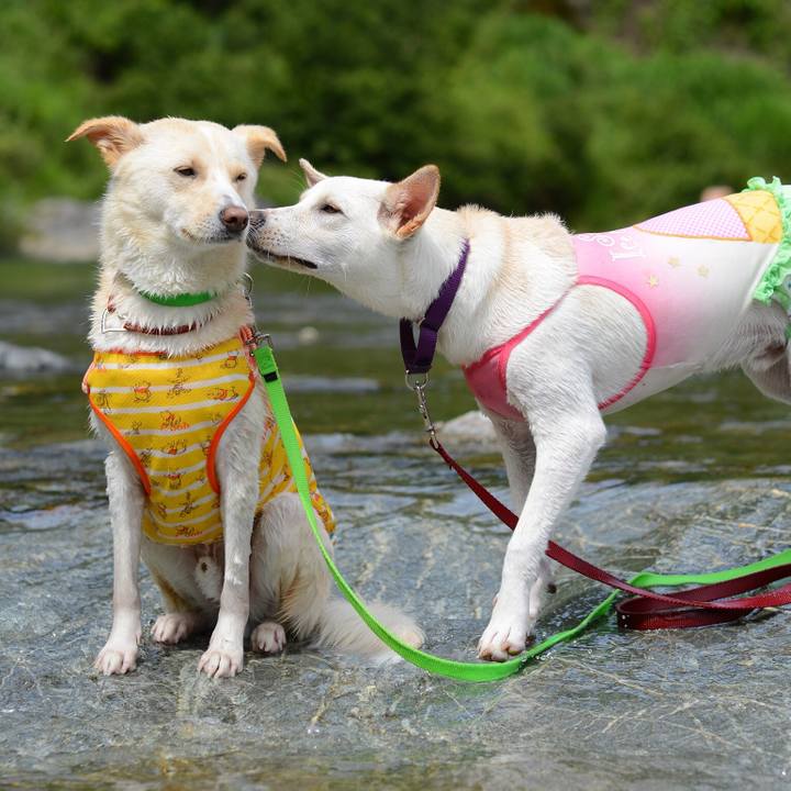 F6a73475 0734 4f0d 9148 53b3828c8d5e