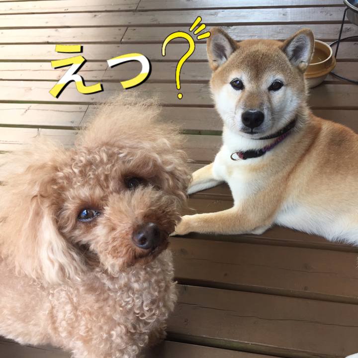 F6a79a05 fad1 4664 a1f5 ea87da89627c