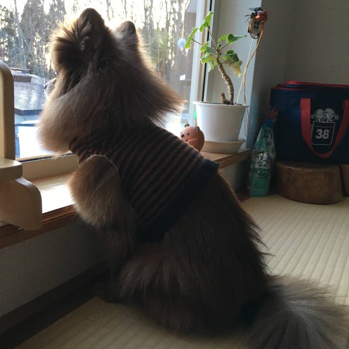 F6a7cd84 e580 4f5d 809e 22d20a0ccf28