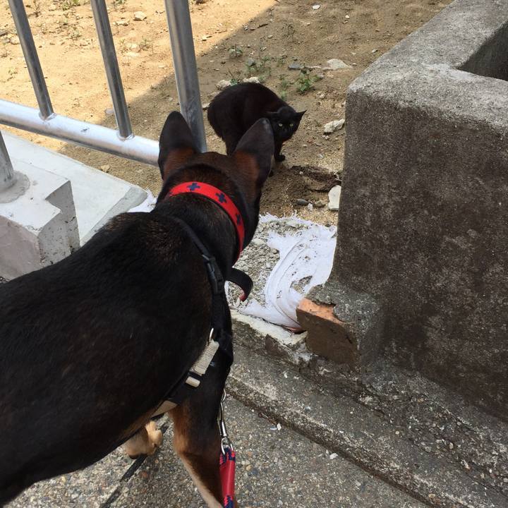 F6a7ec6e affd 4ad8 a2f5 24400d645b68