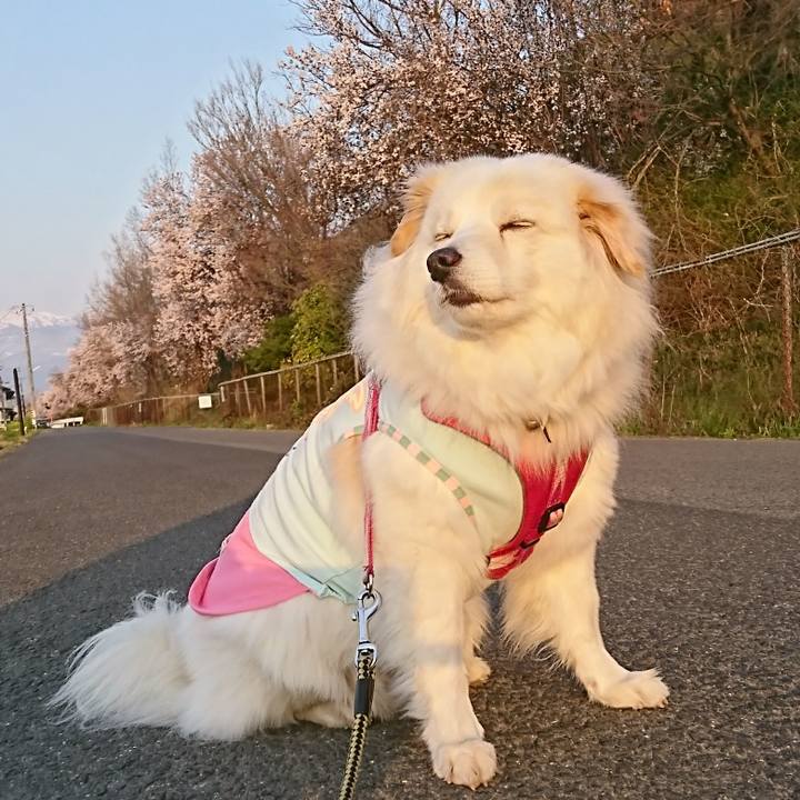 F6a80f29 dc18 46d0 bcea 2bb55a34a61d