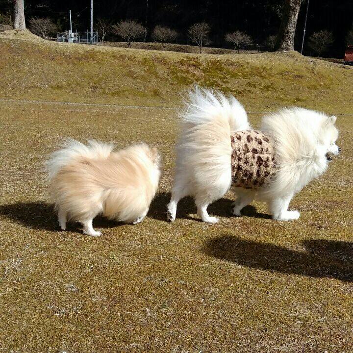 F6a83689 bc5a 43d9 a2f5 06b65679eff9