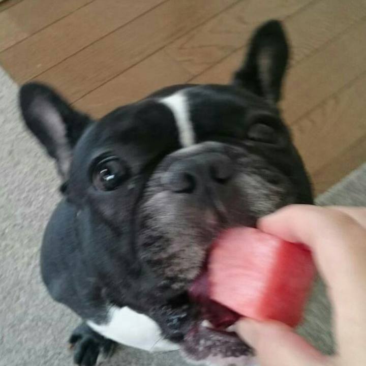 F6a86c03 b140 406c 9f9e 1ce84b1d3684