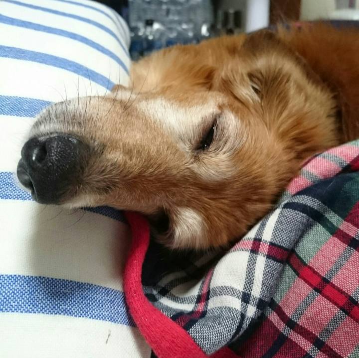 F6a8896e 1c2b 4007 a7b3 3af1430a4d85