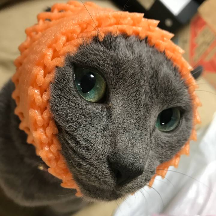 F6a8ea97 2722 4e62 9f1c 355e264d5c6f