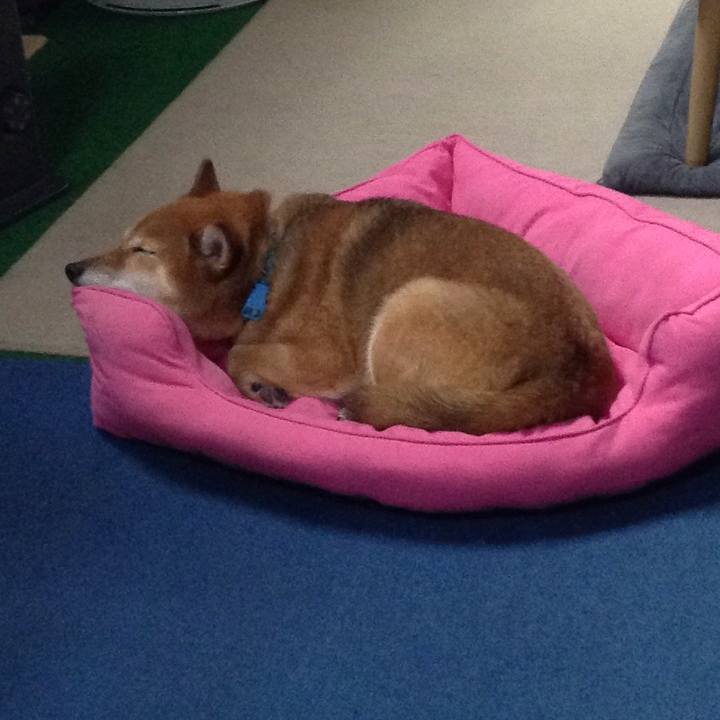 F6a8f83d eba3 44bf 82d9 5f958b8f024d