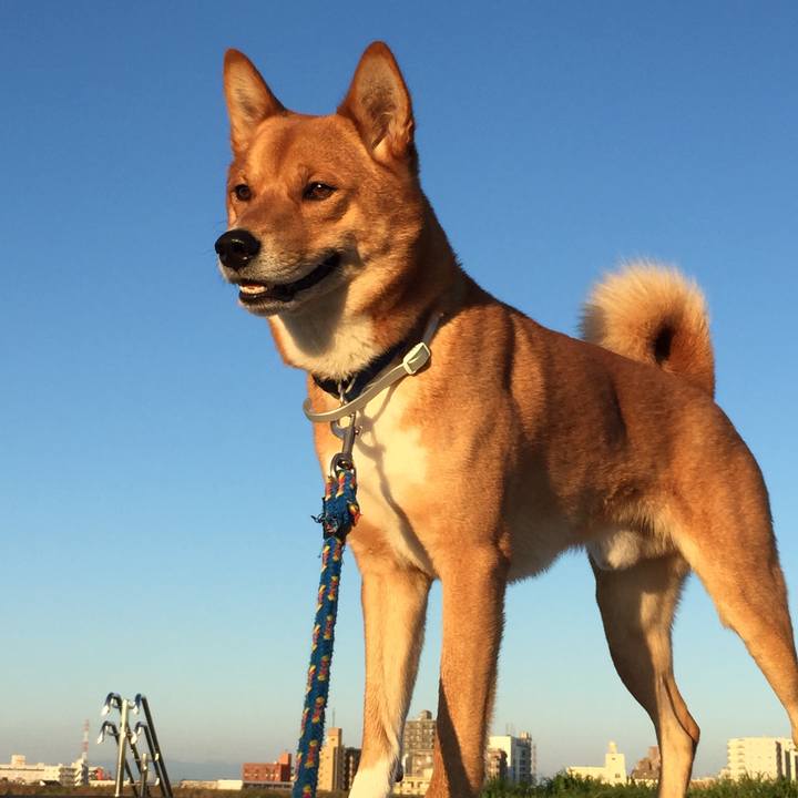 F6a9c576 62b2 442f a327 0ce73711ce95