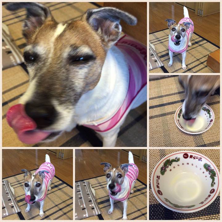 F6a9c788 5673 4256 bd2b 5b0e914169e4