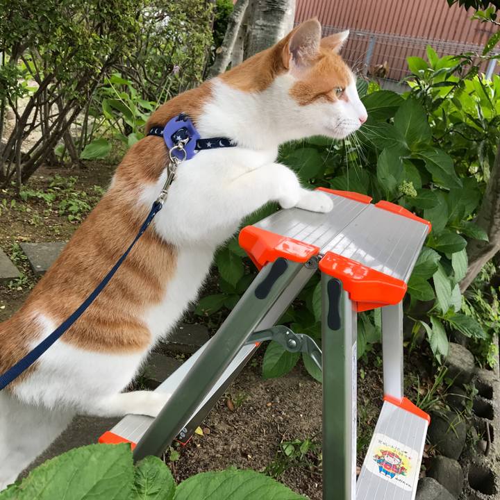 F6aa4af0 3afc 4554 9086 2509f1bfec03