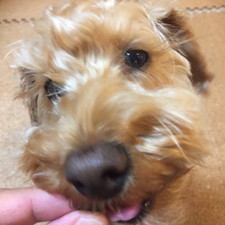 F6aa9647 2dc0 4aec 9de9 092e7102da85