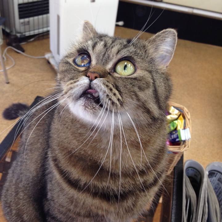 F6ab090f 7669 4df2 a7dc adc9ba3660ac