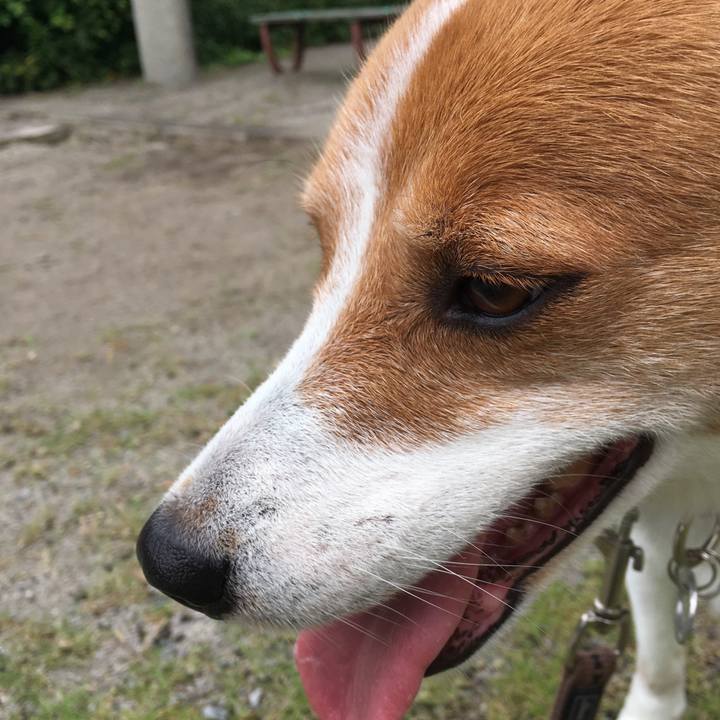 F6ab744c 3bd4 40a4 a0df 10ea5118ea6e