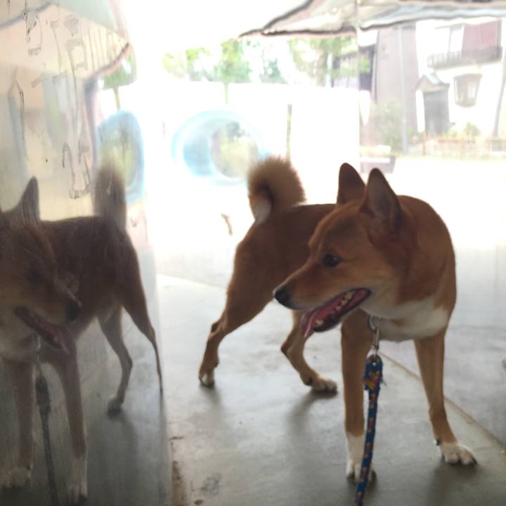 F6ab7d8e 2704 4fae 8707 43acc43e6709