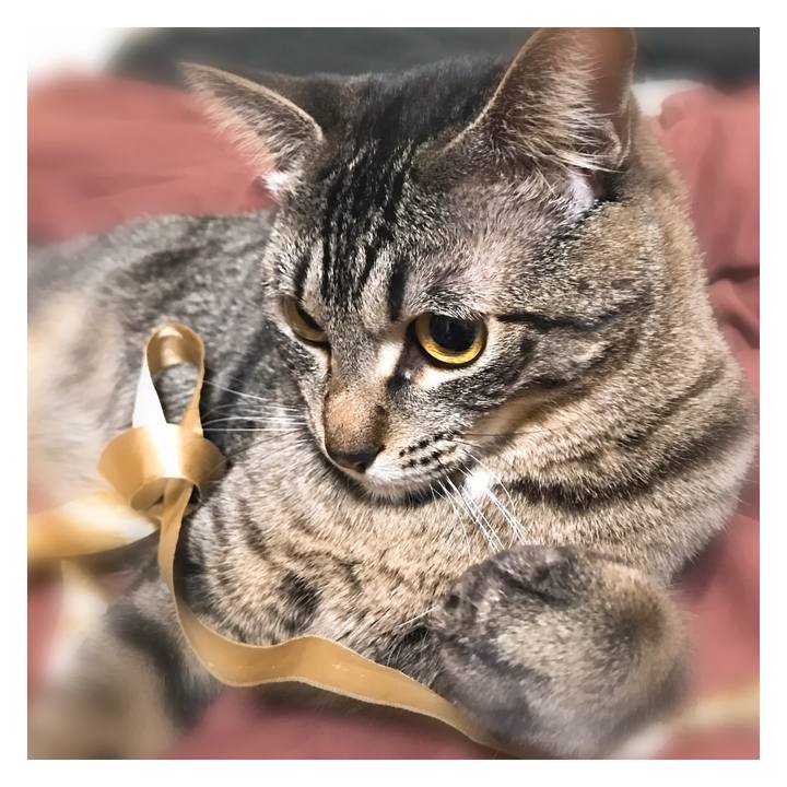 F6abf6f5 d133 48b6 b362 e75e40f15a06