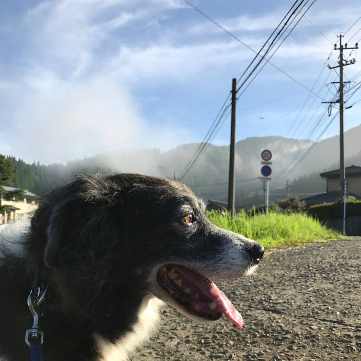 F6ac2146 59ce 40a5 b41e d30f29e0735e