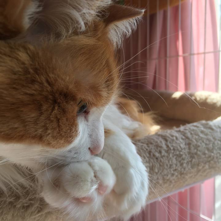 F6ac9643 e0eb 42f1 b3e4 46ed97322a9c