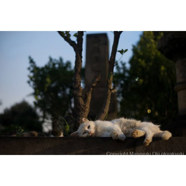 F6acd72d 9688 4e78 90aa feda13f76a25