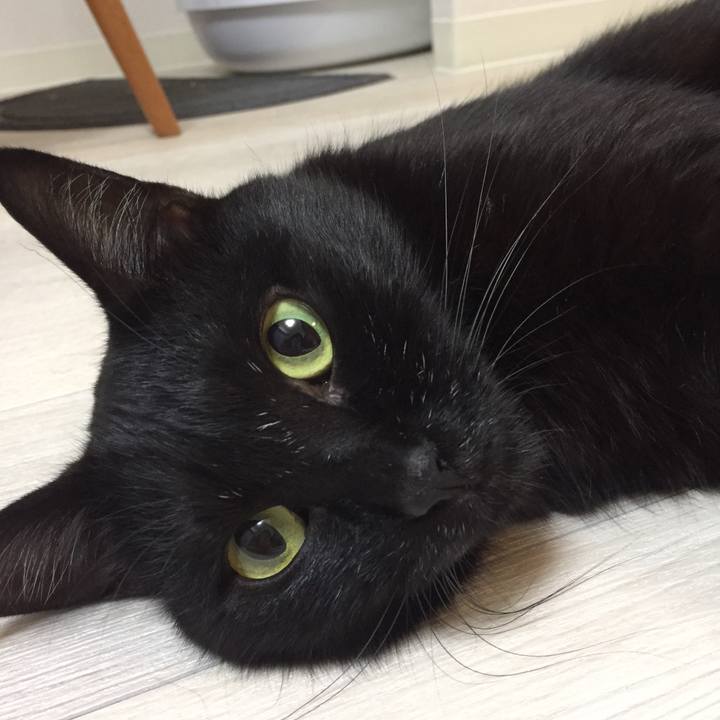 F6aeb89b 0de6 41bb b51f 0321604700bf