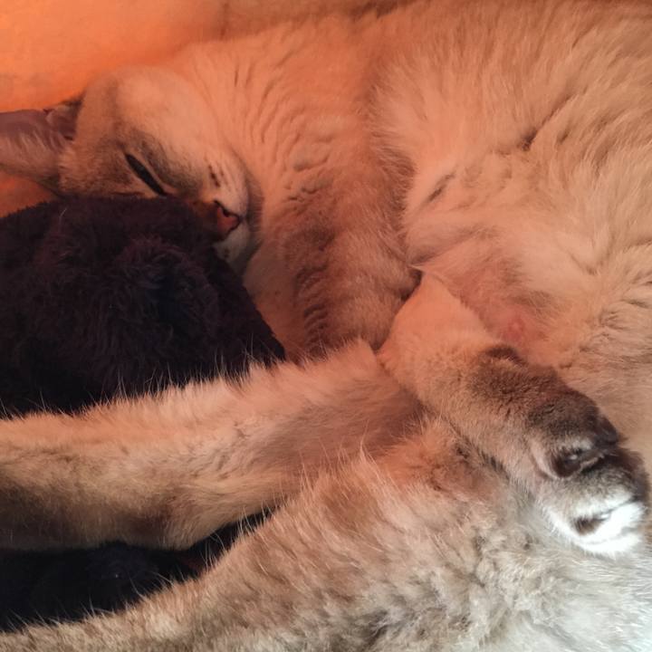 F6aefdd9 0a65 43a4 8f94 7651099b537e