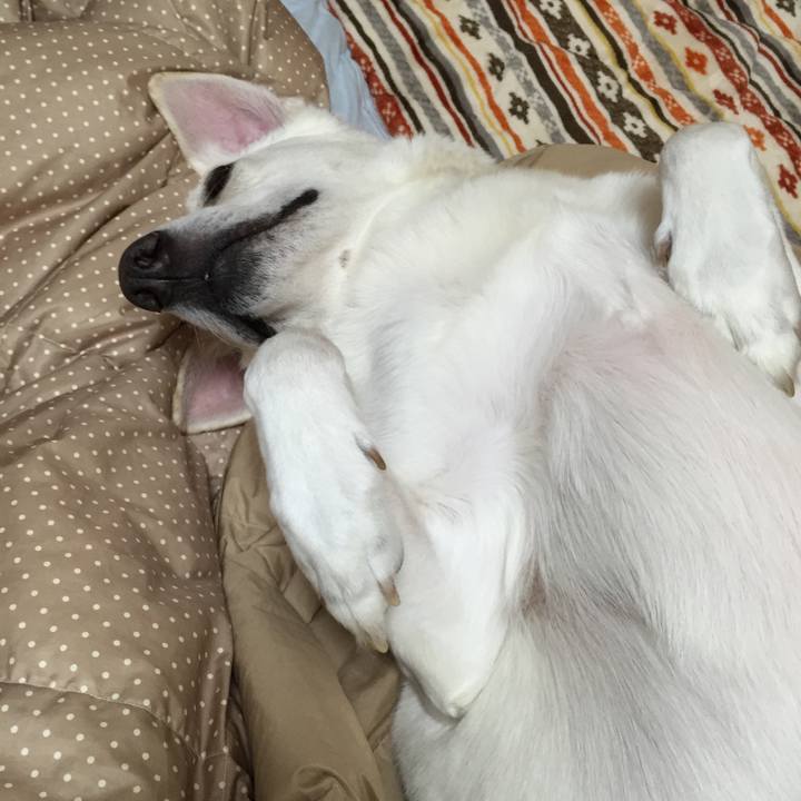 F6af15ba 43ad 448c 9e96 b1c03f911532