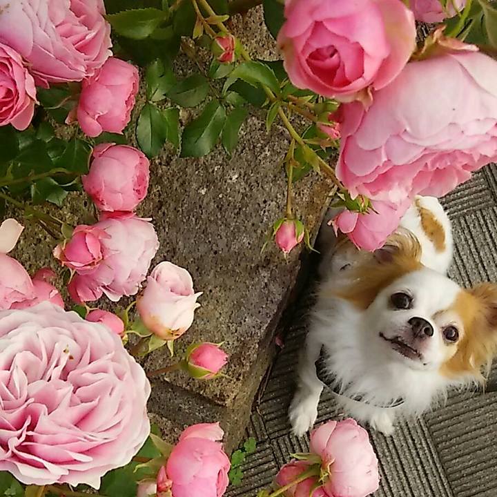 F6af8f2c 4259 41f2 bd6d c099a5c62e3e