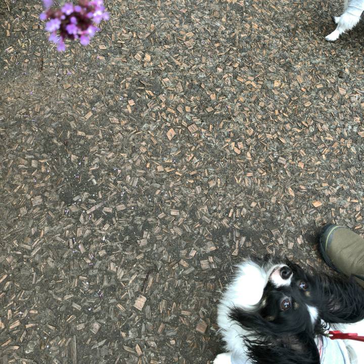 F6afffea 9c44 4e8d 9dd1 71f62c6b6230