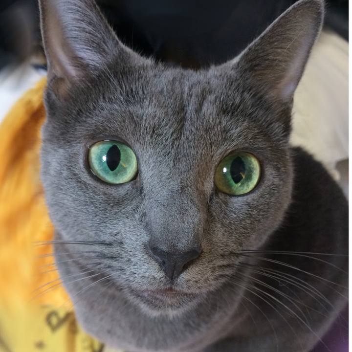 F6b07dd4 b876 4fdf 81b4 aa9cf173b136