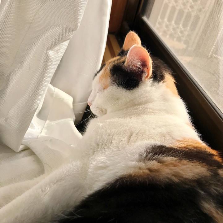 F6b0a70b 0c65 4146 bb46 8e6205c32573