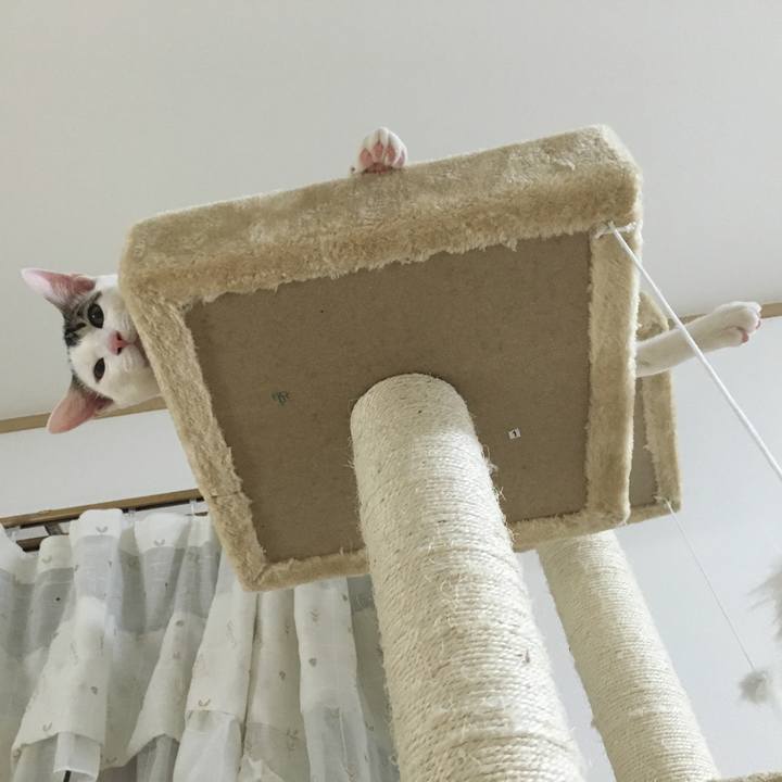 F6b10c10 7c78 4781 8821 cd09c575ee15