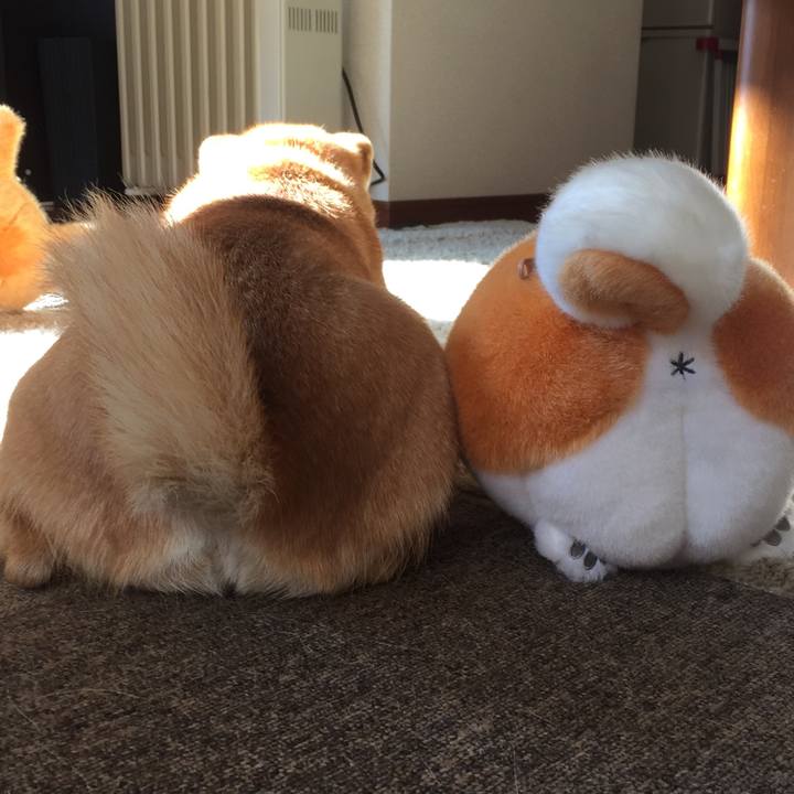 F6b13d13 1838 441b adcb c0c7c302af77