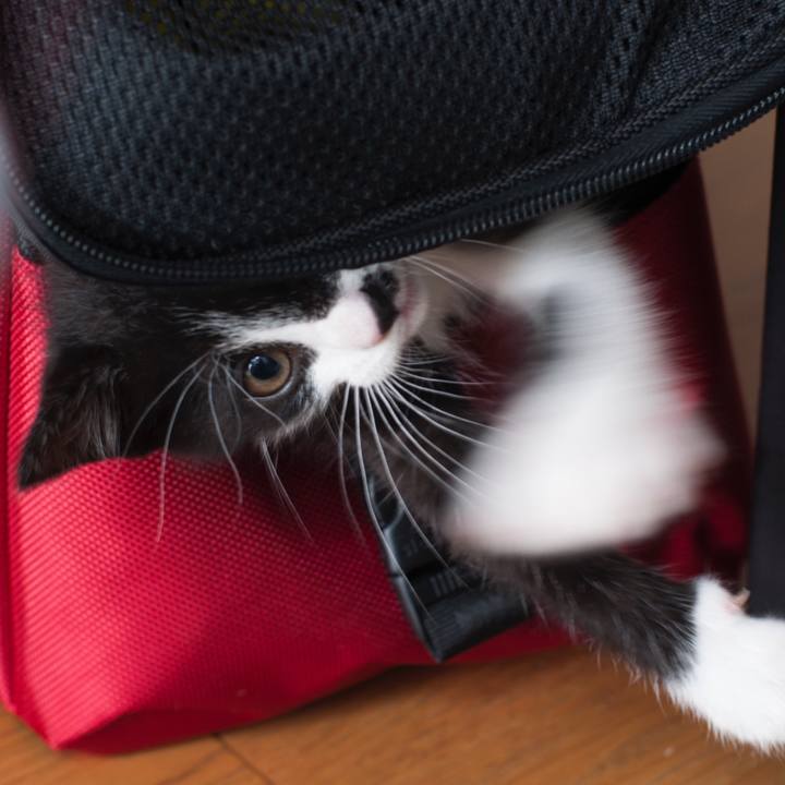 F6b1c5c3 aee3 4418 89a0 65daea639ccb