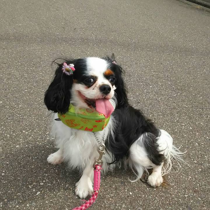 F6b2cba4 352d 4af0 96c4 53043d67f67c