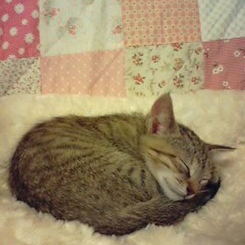 F6b2d233 9e70 471a b3be dde913a0ad3f