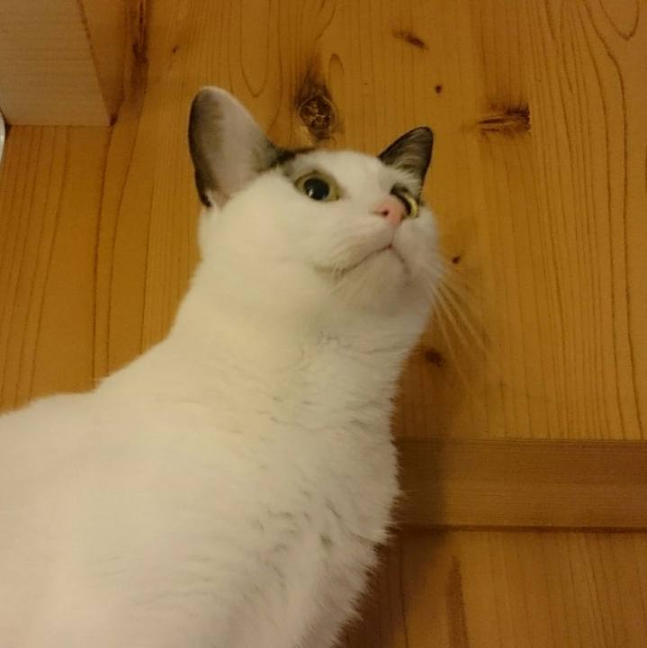 F6b32ff2 8cc6 4381 9e43 a3dc1299649f