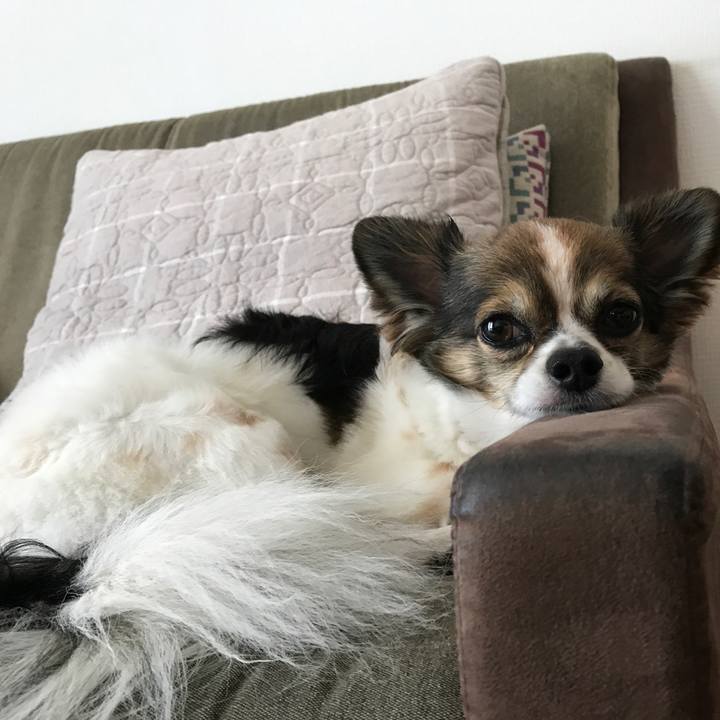 F6b377af 9797 4e39 a90c e9825aaa5ef0