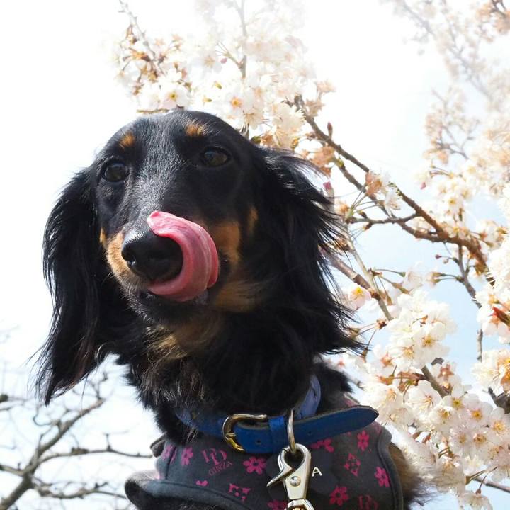 F6b4021c 8340 4be4 a213 b6aea38d5b27