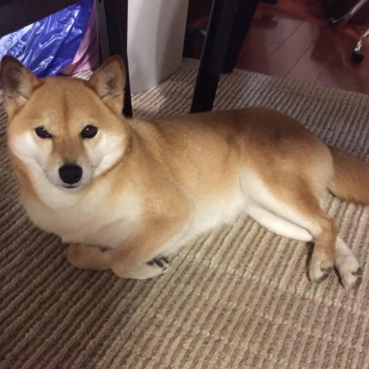 F6b4e945 0dad 4a46 9886 fff7b05f932e