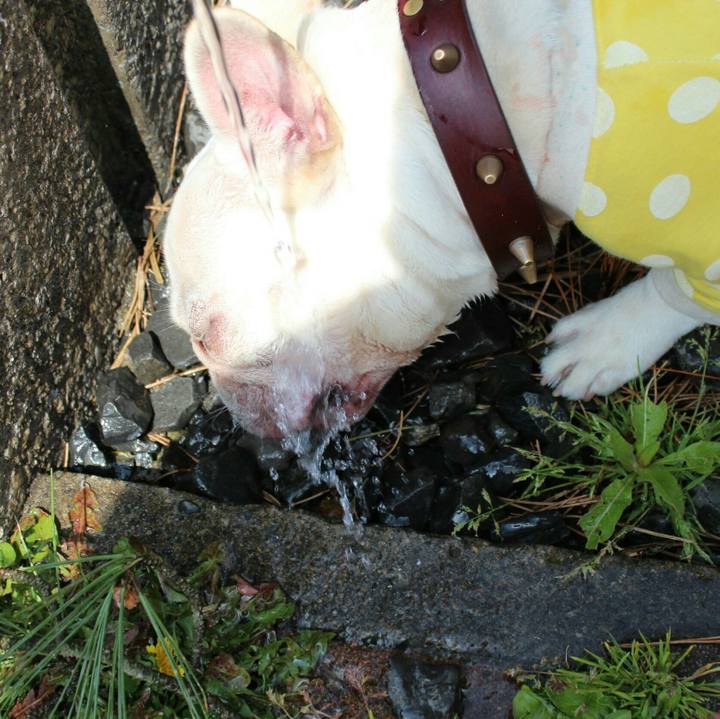 F6b58637 a75e 4da3 9aaa 83c49366ec15