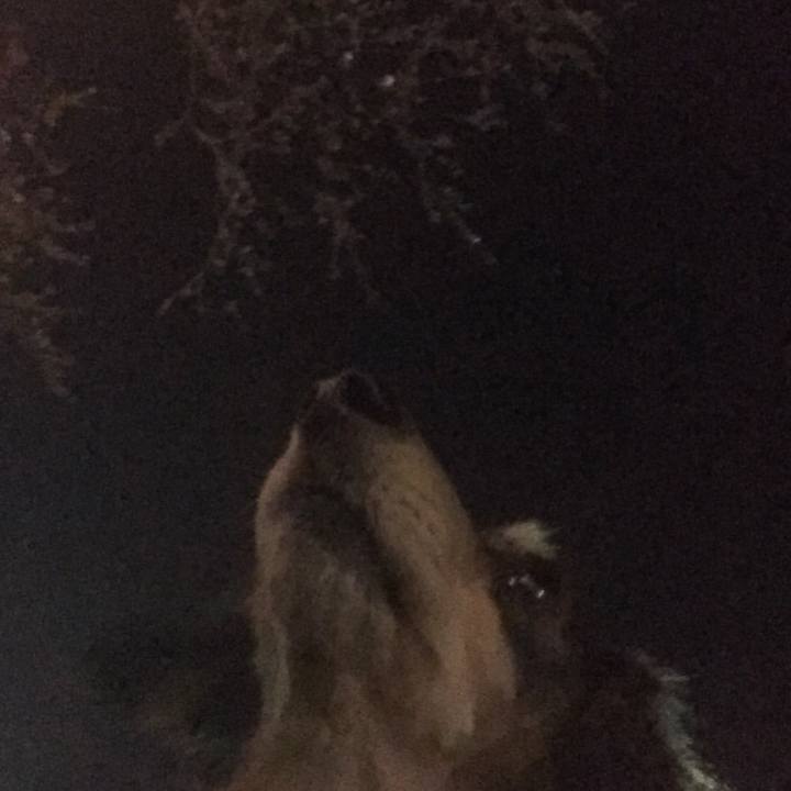 F6b5ef75 70c9 465c 9abd 94a4d3b9fb45