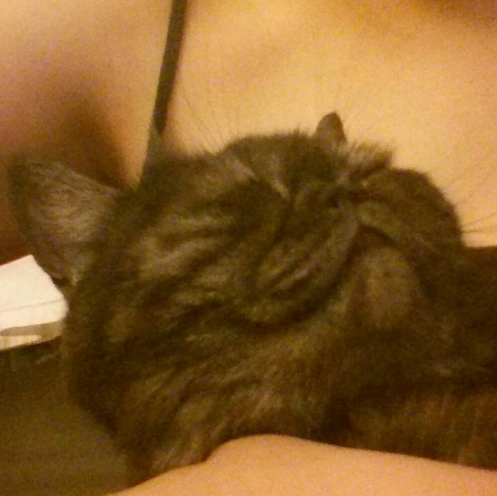 F6b60fb4 b55a 426d 9ea8 8a44896fa491