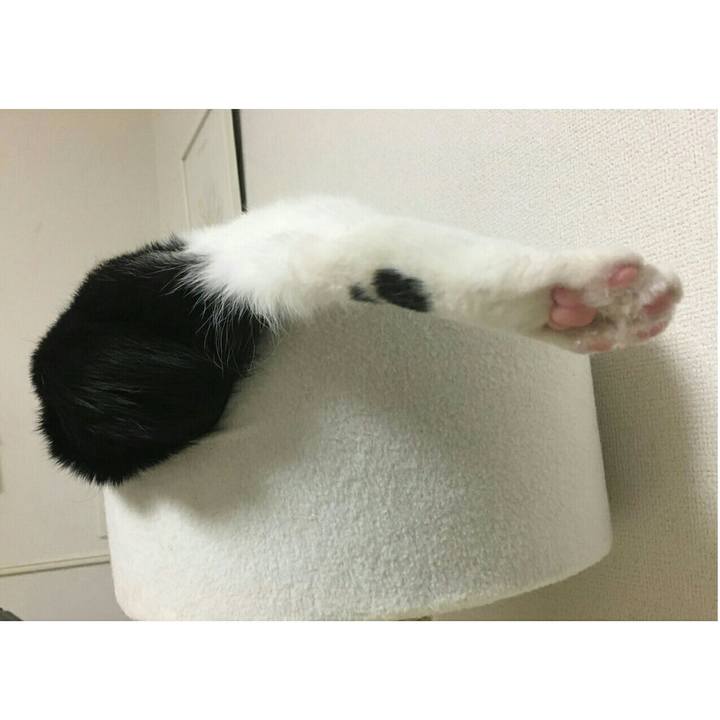 F6b70bfa 5a4d 4ac1 be51 f5a3b15aaee2