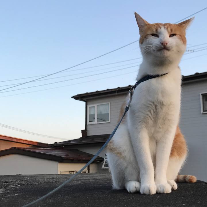 F6b70e81 cf42 4f6a 80c7 2a344764ad22