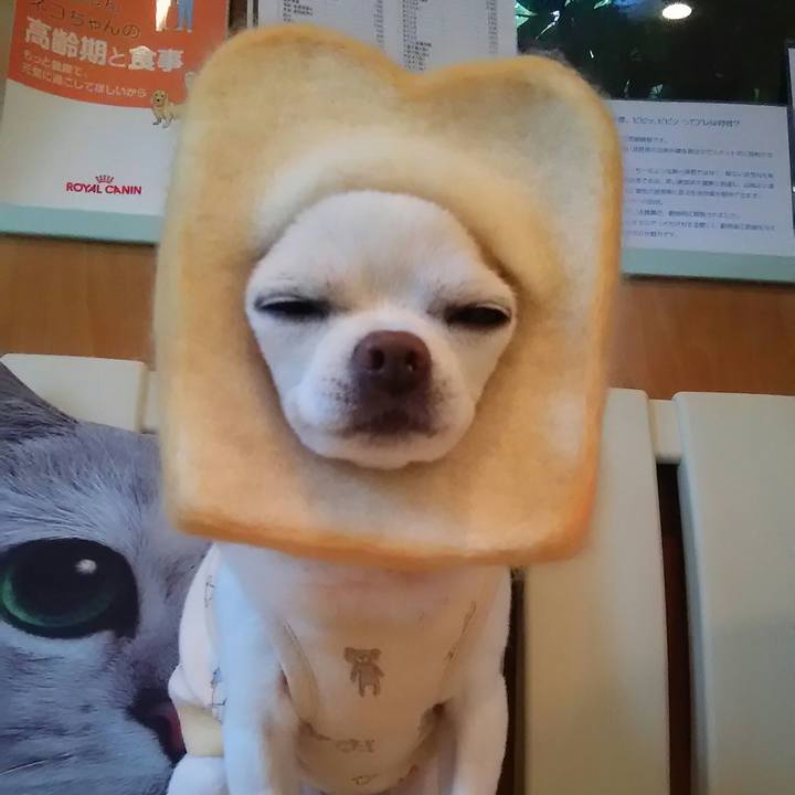 F6b73c35 f858 4291 b7dc 4c1040a4bbd0