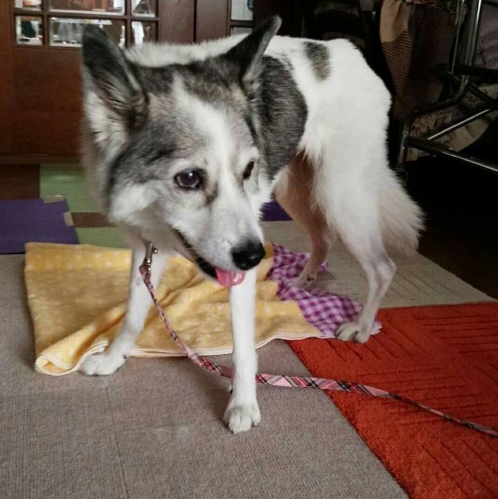 F6b8d94a 20ab 4b7f 9004 9b3cf8fa965f