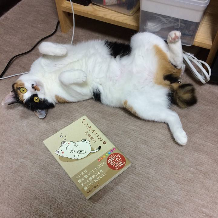 F6b94c43 64de 44ae ac90 9c3b410321f8